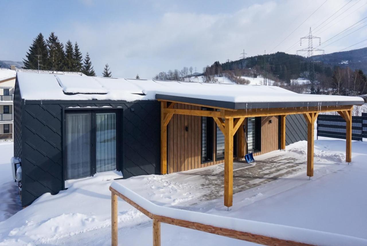 Chalet Stuhleckblick-Ferienhaus Direkt An Der Piste Und Mit Eigener Sauna Spital am Semmering Eksteriør bilde